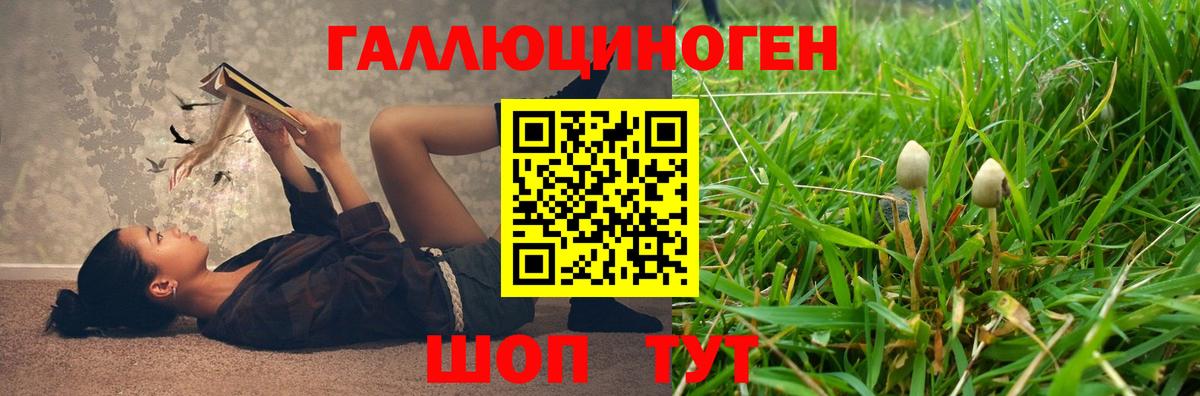 Мурманск  Псилоцибиновые грибы прущие грибы  Вход с VPN  Псилоцибиновые грибы ЛСД 