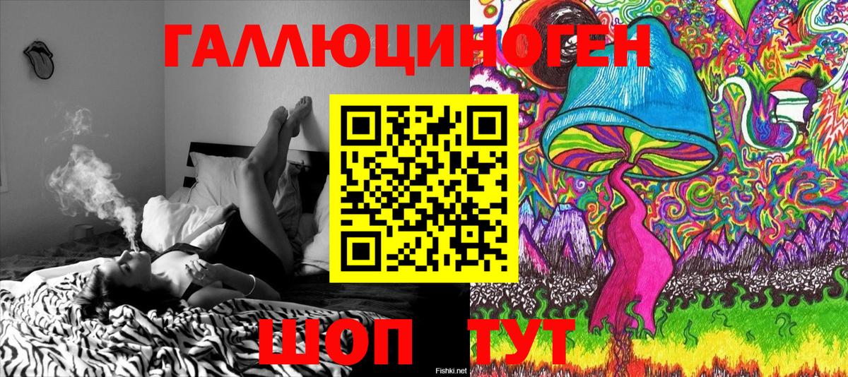 Псилоцибиновые грибы GOLDEN TEACHER Мурманск